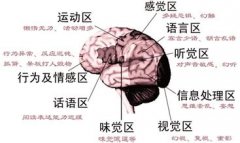 专家带你分析 精神分裂带来的危害