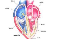 98.7%率是神经官能症患者放心的选择