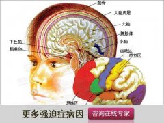 反复洗手不是洁癖 而是强迫症！