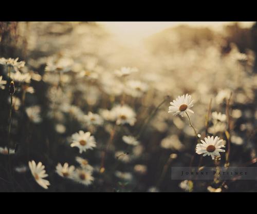 患有恐惧症的应对方法?